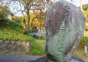 SBJ01641