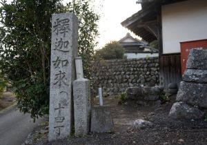 SBJ01644