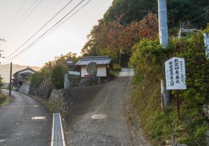 SBJ01654