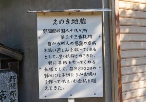 SBJ09739