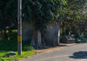 SBJ09743
