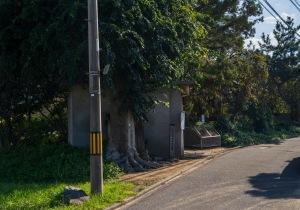 SBJ09744