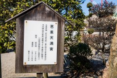 DSC07409