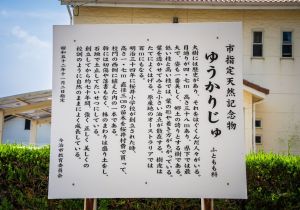 DSC04100