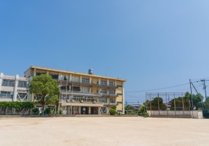 DSC04147