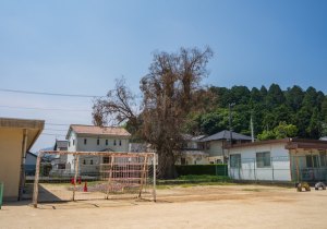 DSC04154