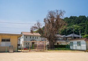 DSC04157