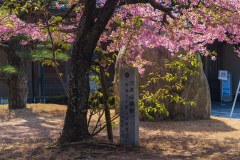 DSC02080