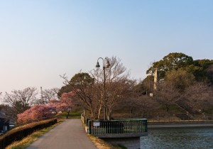 DSC02257