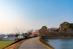 DSC02258