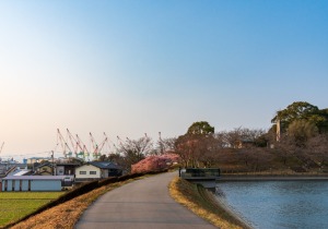 DSC02258