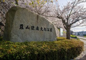 DSC037112