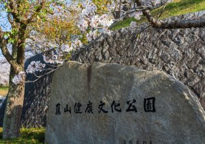DSC03716