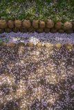DSC04455