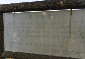 SBJ09617
