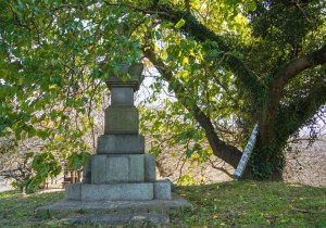 SBJ09624