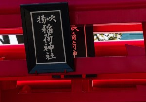 SBJ01779
