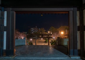 SBJ06020
