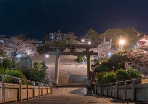 SBJ06023