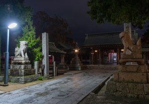 SBJ06058