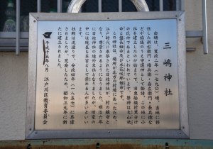 SBJ07987