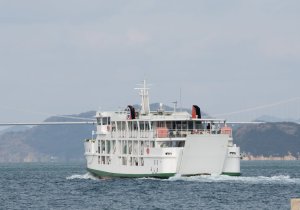 SBJ04339