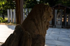 DSC07194