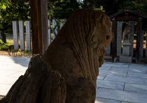 SBJ07194