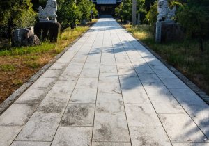 SBJ07199