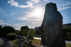 DSC07204