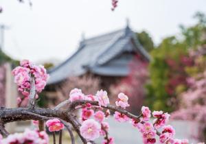 SBJ02922