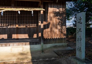 DSC07975