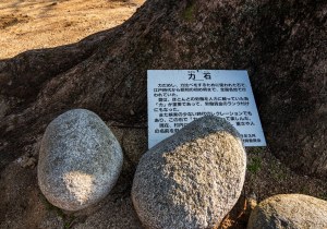 DSC08003