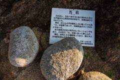 DSC08004