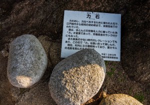 DSC08004