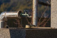 DSC08019