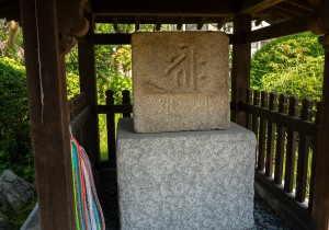 SBJ05681