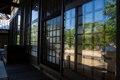 DSC05706