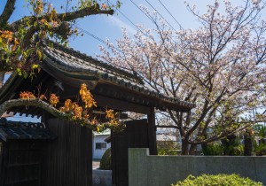 SBJ07813