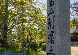 SBJ07828