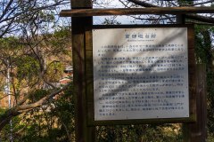 DSC07277