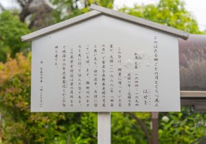 SBJ02205