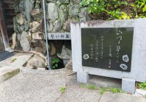SBJ02207