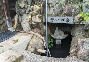 SBJ02211