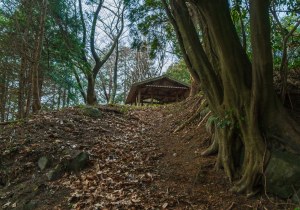 長者森・権現山16