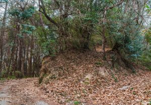 長者森・権現山2