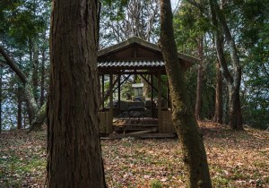 長者森・権現山24