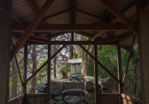 長者森・権現山26