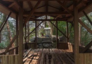 長者森・権現山28