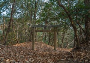長者森・権現山42